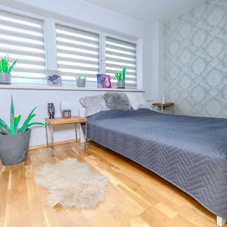 Apartment Ochota